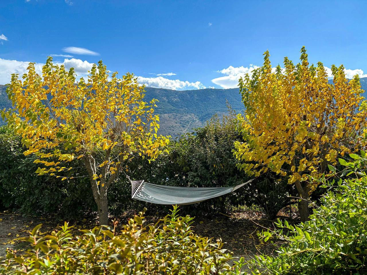 Traditioneller Schafstall im Herzen des Niolu in Lozzi, Regionaler Naturpark Korsika