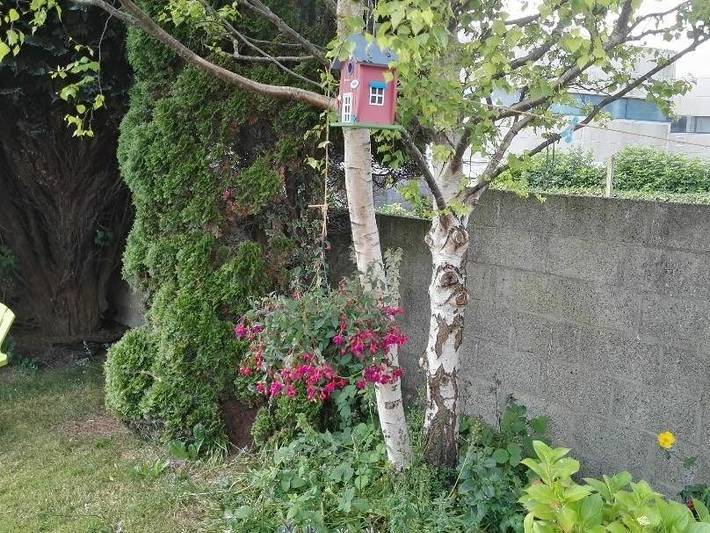 Location de vacances pour 2 personnes, avec vue, adapté aux familles à Waterford (Irlande) - 2