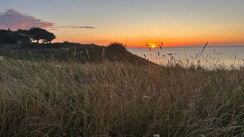 Ferienhaus für 6 Personen, mit Garten in Tisvilde - 4