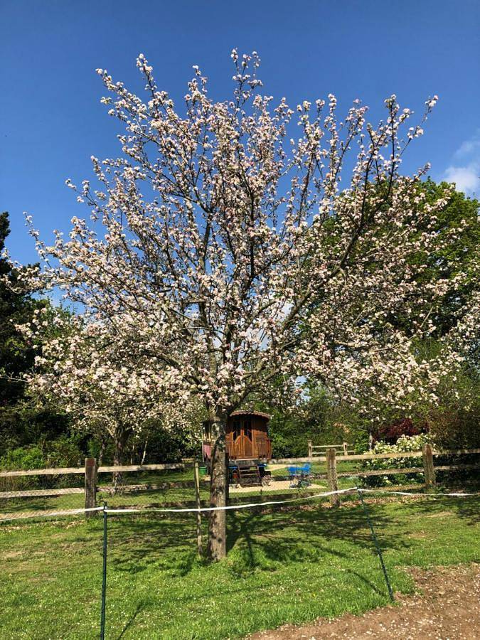 Tente pour 2 personnes, avec vue ainsi que jardin et terrasse dans le Calvados - 3