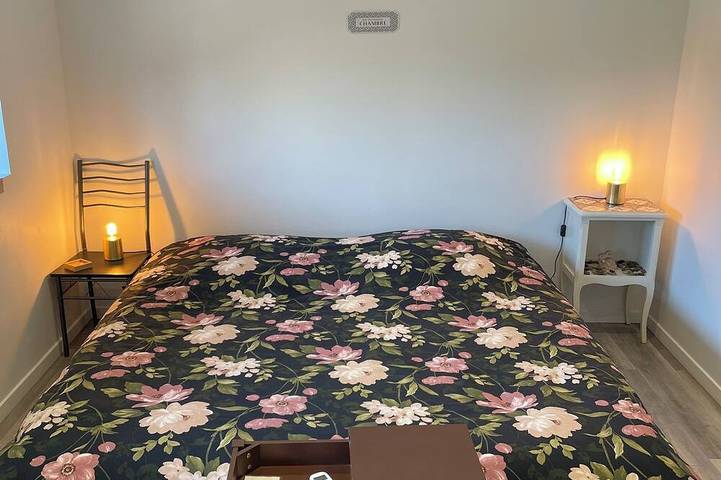 Gîte pour 3 personnes, avec jardin ainsi que jacuzzi et terrasse à Lorris - 3