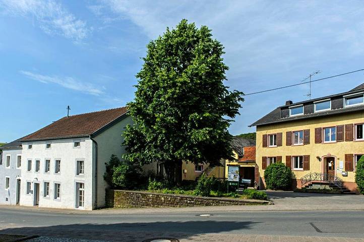 Bauernhaus für 10 Personen, mit Terrasse und Garten, mit Haustier in der Eifel - 4