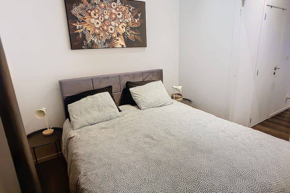 Entire apartment, Apartment 002 on front first floor with terrace in Liège, Liège region