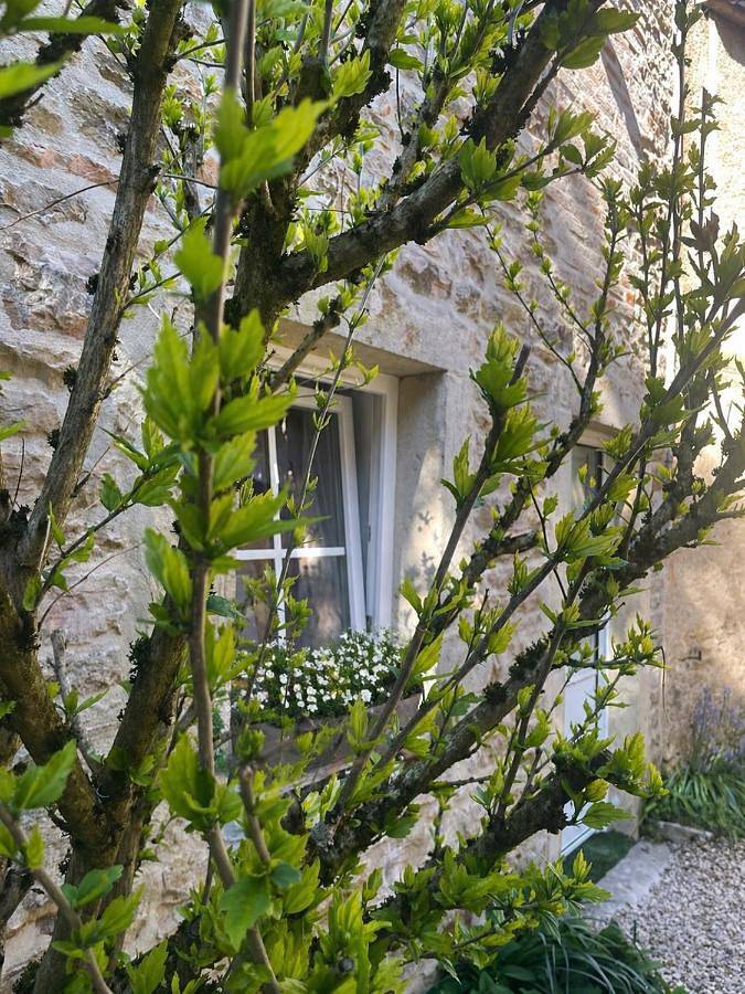 Le petit chez soi - my sweet home in Gevrey-Chambertin in Gevrey-Chambertin, Région de Dijon