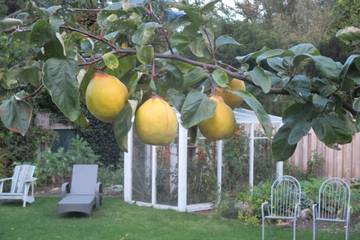 Ferienwohnung für 3 Personen, mit Garten in der Husumer Bucht