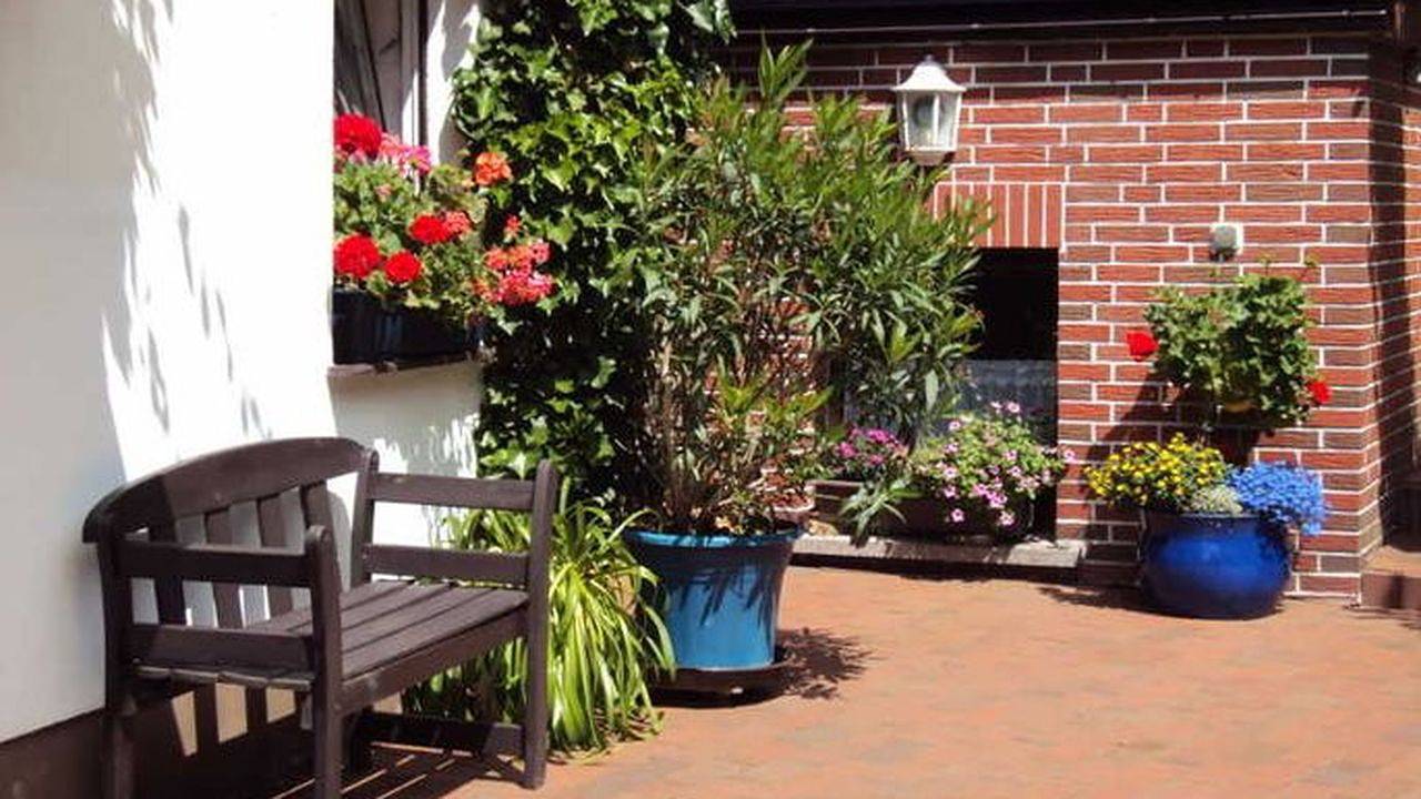 Appartement de vacances entier, Ferienwohnung für 3 Personen (45 m²) in Wesenberg in Wesenberg, Mecklenburg-Strelitz