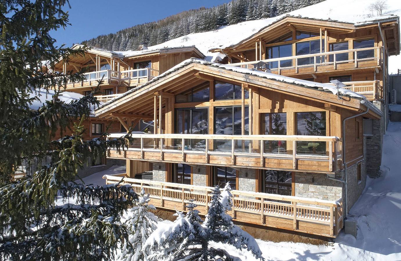 Chalet La Panthère des Neiges in Mont-de-Lans, Les Deux Alpes