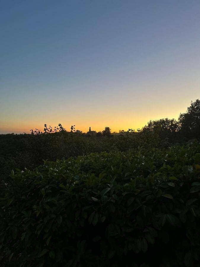 Gîte pour 2 personnes, avec vue et jardin à Lescure-d'Albigeois - 3