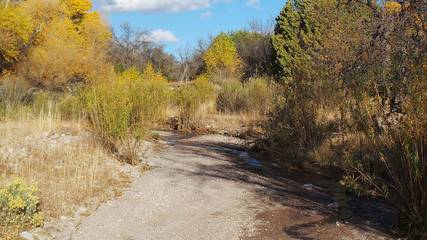 Lodge for 25 Guests in Gila National Forest, New Mexico, Picture 4