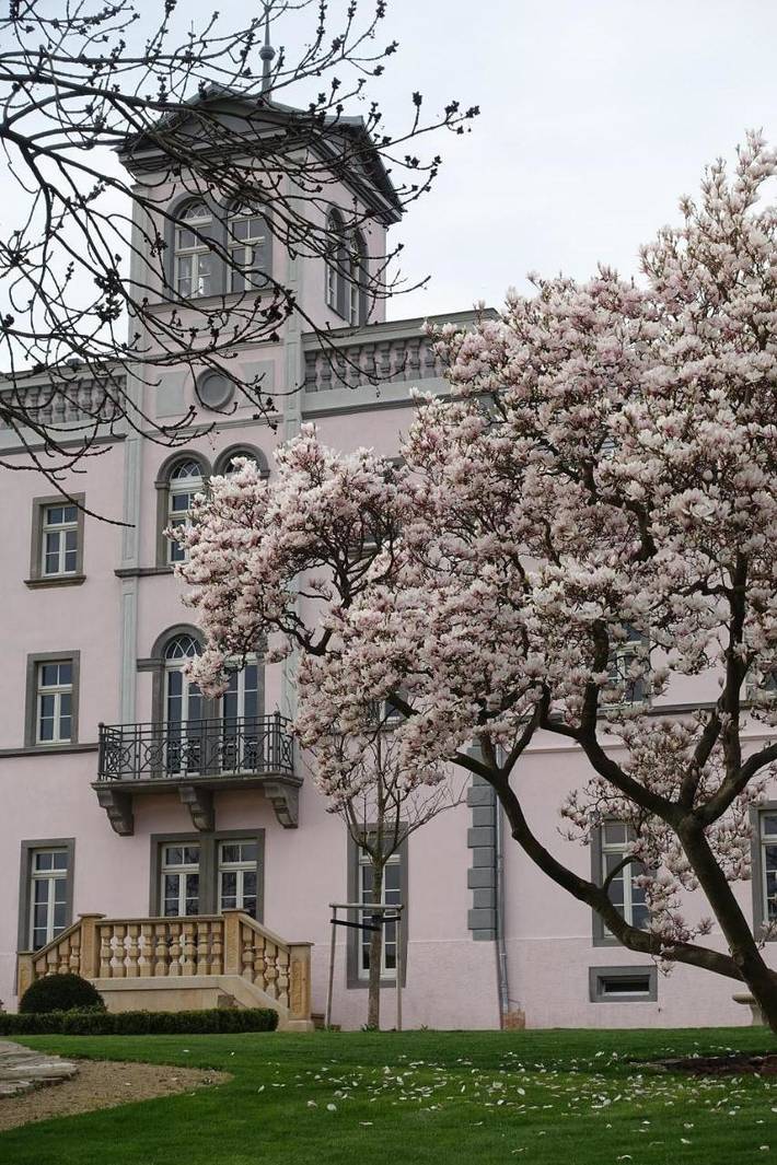 BnB für 2 Personen, mit Balkon und Terrasse sowie Garten und Ausblick in Meißen
