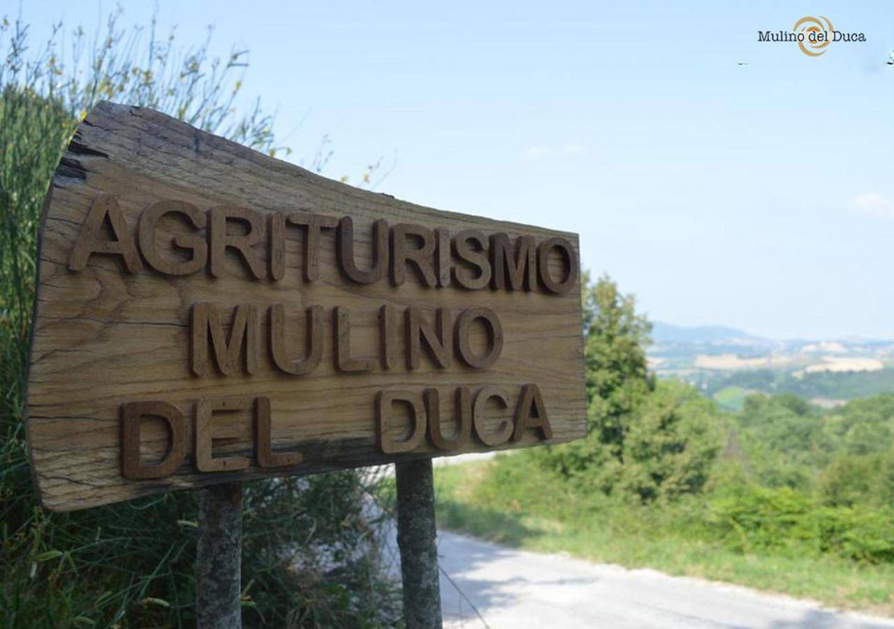 Appartamento intero, Agriturismo Mulino del Duca in Urbino, Valle del Metauro