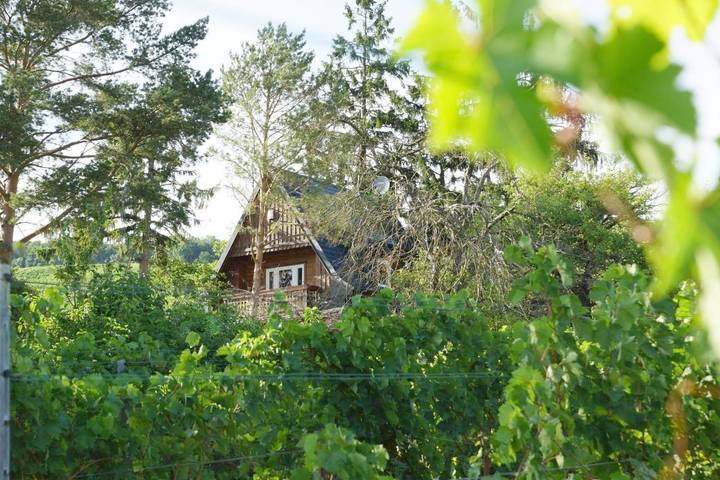 Ferienhaus für 6 Personen, mit Ausblick und Garten in Wien - 4