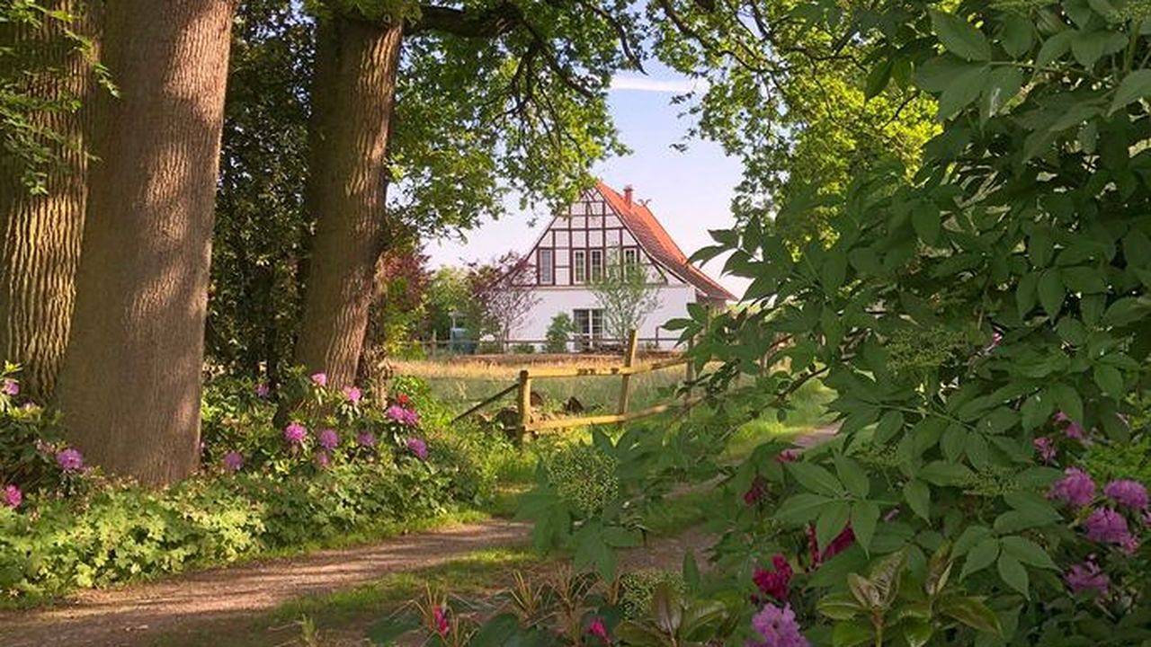 Geheel vakantieappartement, Vakantieappartement voor 3 personen met uitzicht in Tecklenburg, Münsterland