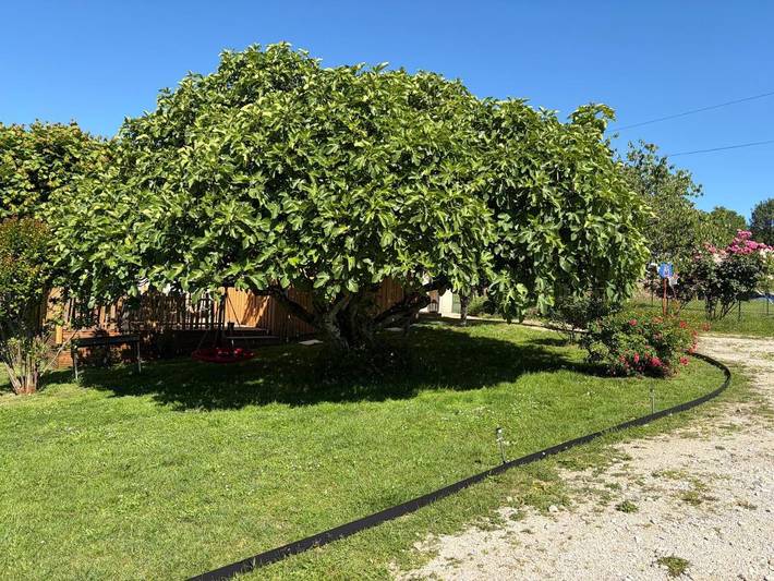 Location de vacances pour 6 personnes, avec Terrasse et Jardin ainsi que Piscine et Sauna à Monfaucon - 3