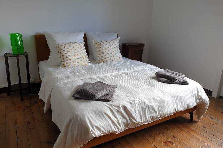 Villa pour 12 personnes, avec jardin et balcon, animaux acceptés dans Pyla-sur-Mer - 3