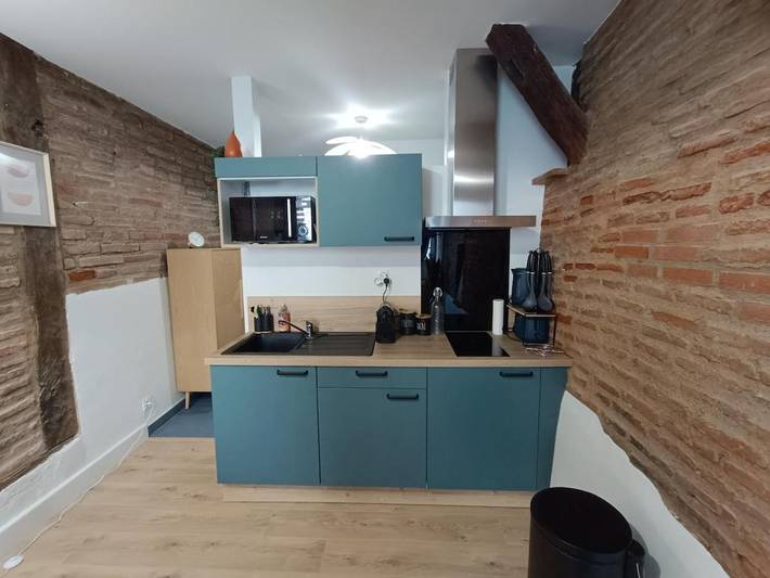 Gîte pour 2 personnes, animaux acceptés à Lescure-d'Albigeois - 2