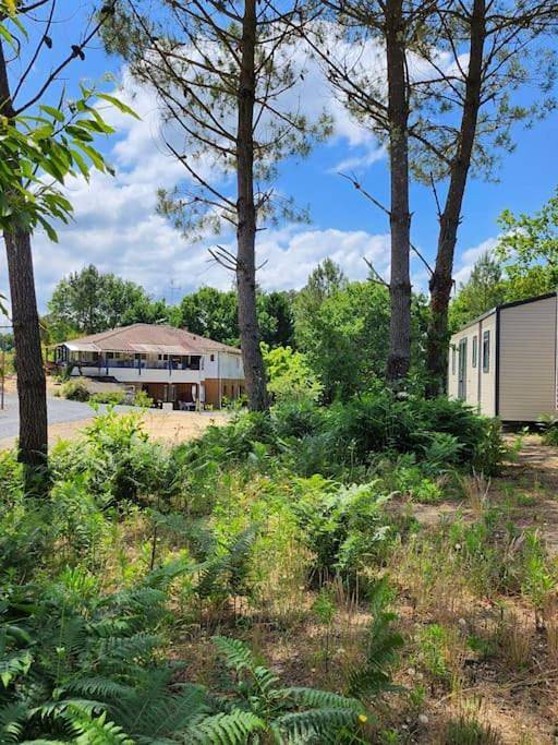 Location de vacances pour 4 personnes, avec jardin ainsi que piscine et terrasse à Herm - 4