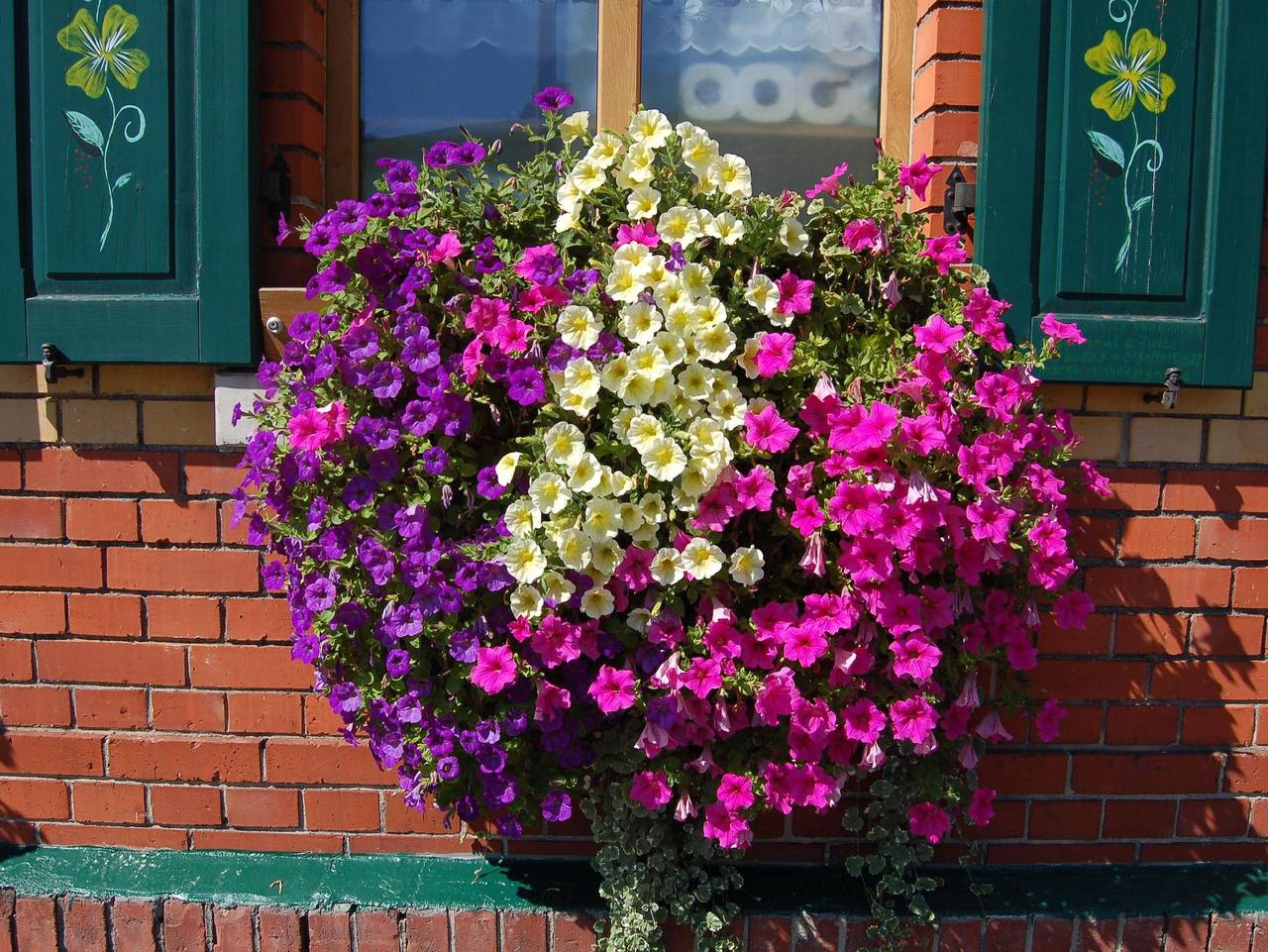 Berggasthaus Schöne Aussicht - Doppelzimmer (4), Dusche, Wc, 2 Aufb. mgl. in Klingenthal, Chemnitz und Umgebung