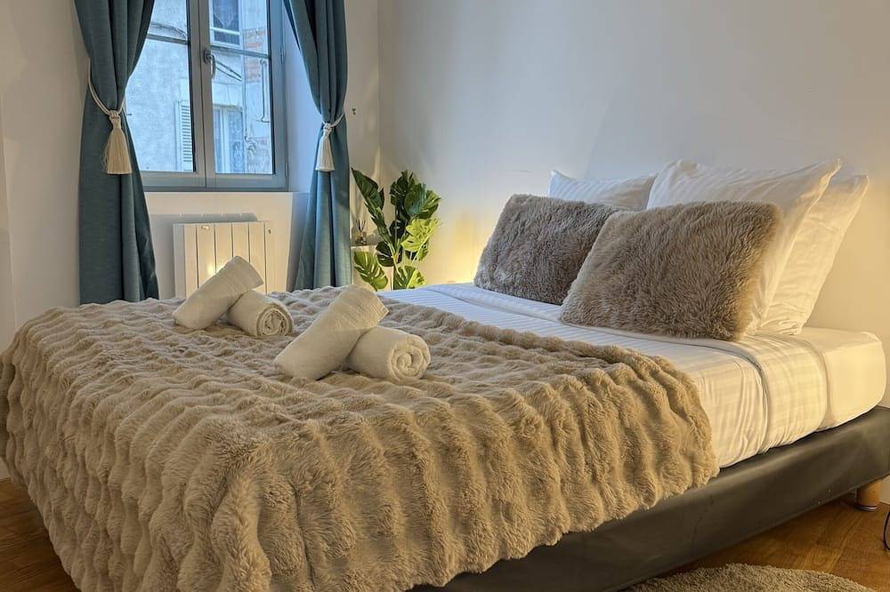 Entire apartment, Les 3 rois: Edina apartment Beauval and Châteaux in Romorantin-Lanthenay, Sologne