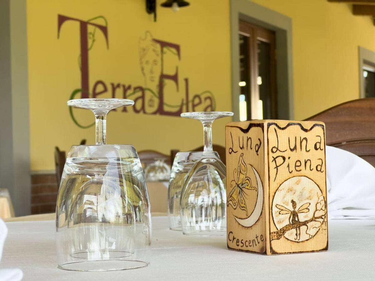 Agriturismo Terra Di Elea azienda agricola di Raimondo Michela in Ascea, Cilento Coast