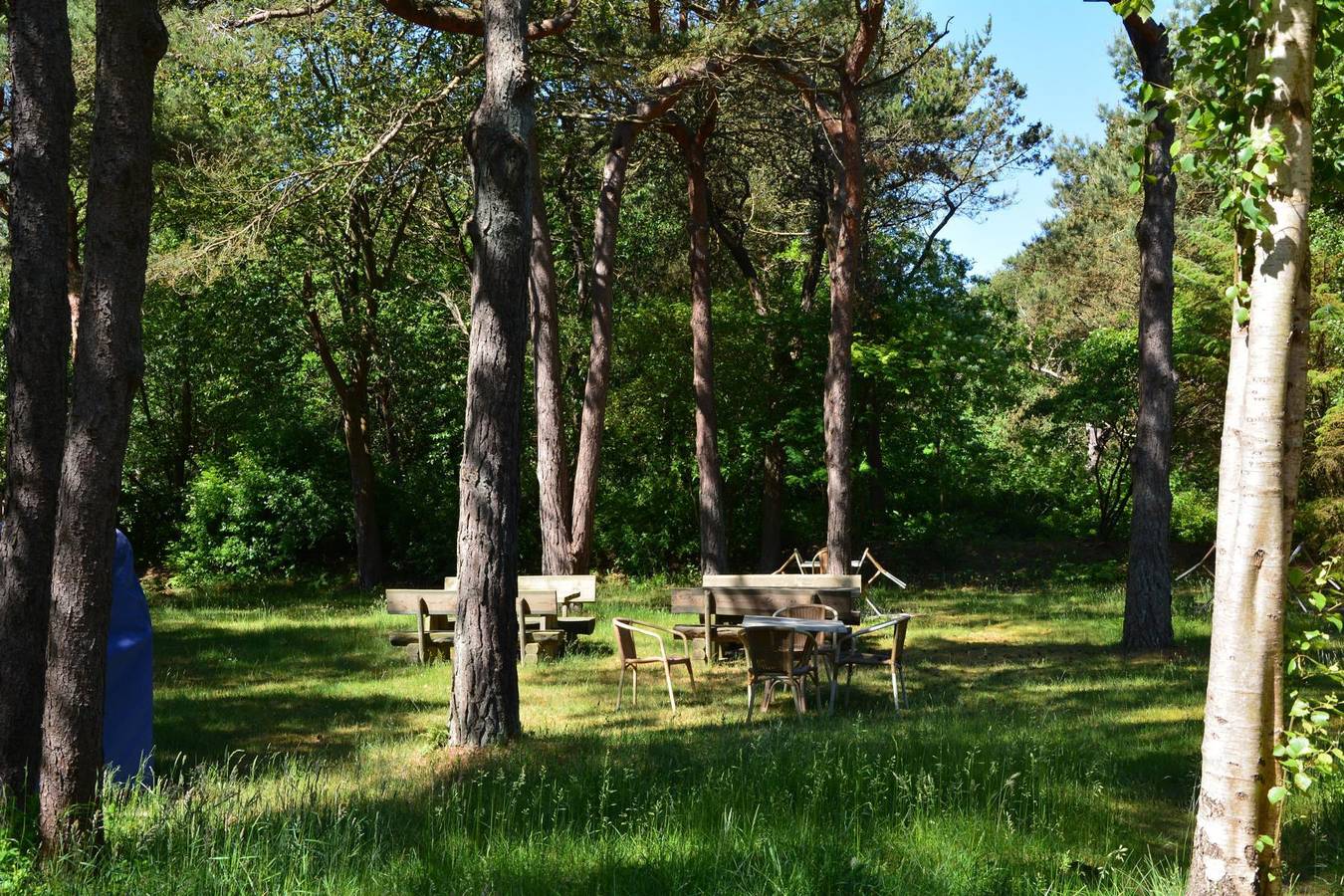 Ganze Ferienwohnung, Haus Dünenrose - Ferienwohnung 5 Austernfischer in Nebel, Amrum