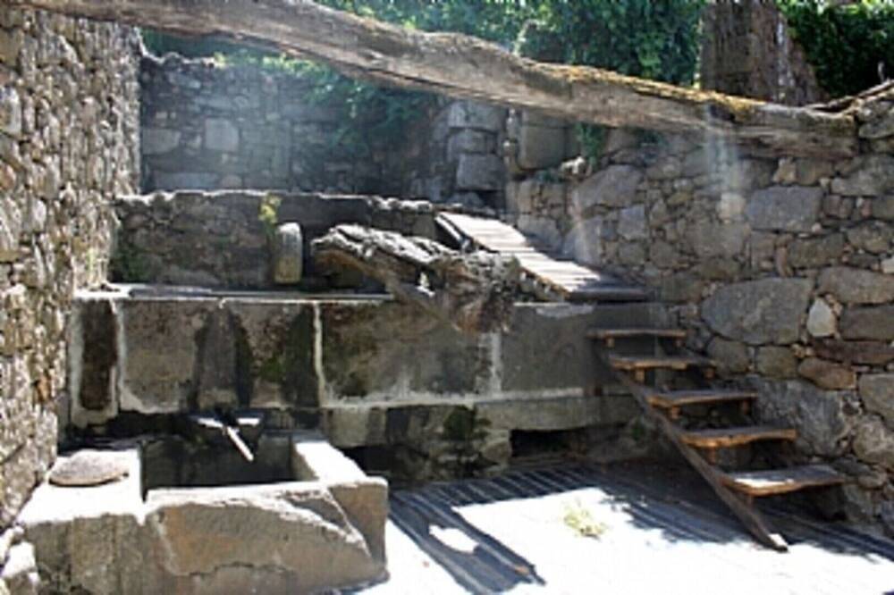 Terrus Weine, Douro Valley Lemon Tree Cottage 67400 / Al in Serra do Marão, Resende