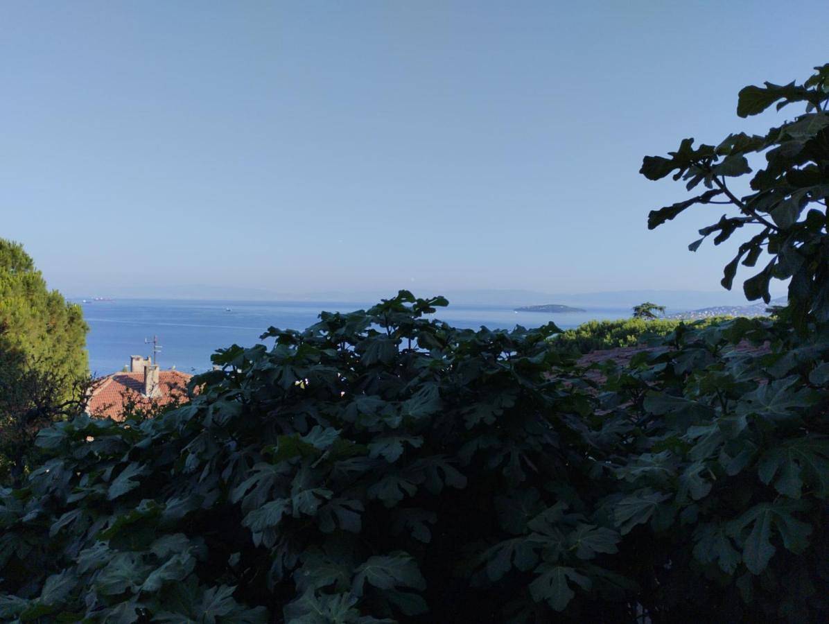 İstanbul Dragos Holiday Villa 5 Rooms 4 Baths Pines Sea Views, Pool Quiet and Stunning in Istanbul, Marmararegio