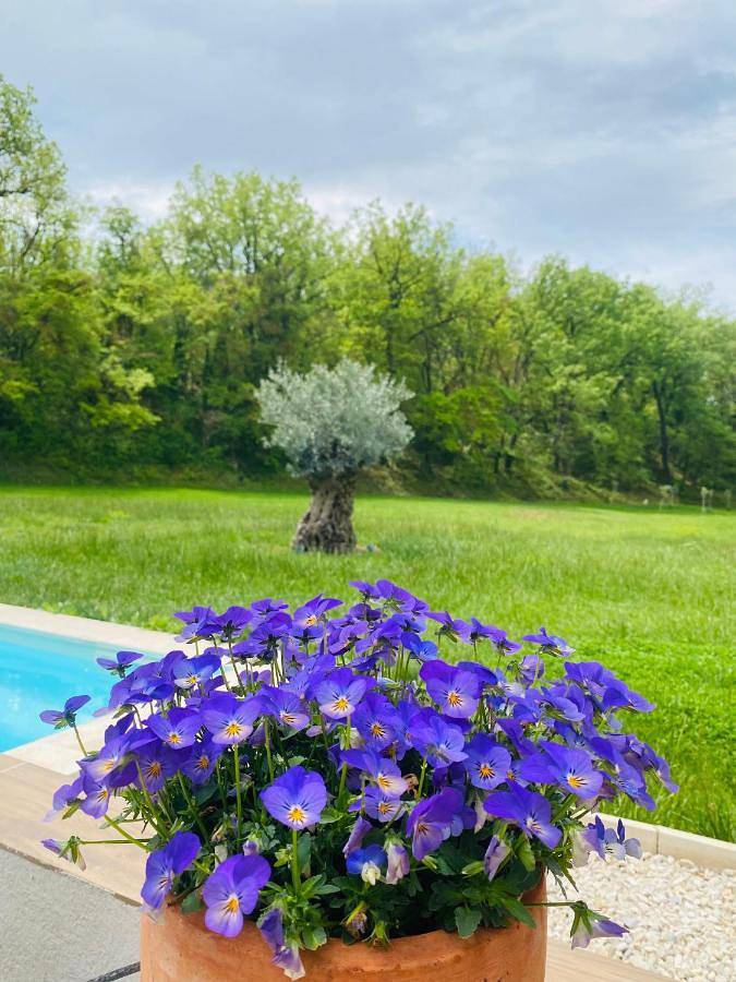 Location de vacances pour 7 personnes, avec vue ainsi que piscine et jardin, animaux acceptés à Gréasque - 3