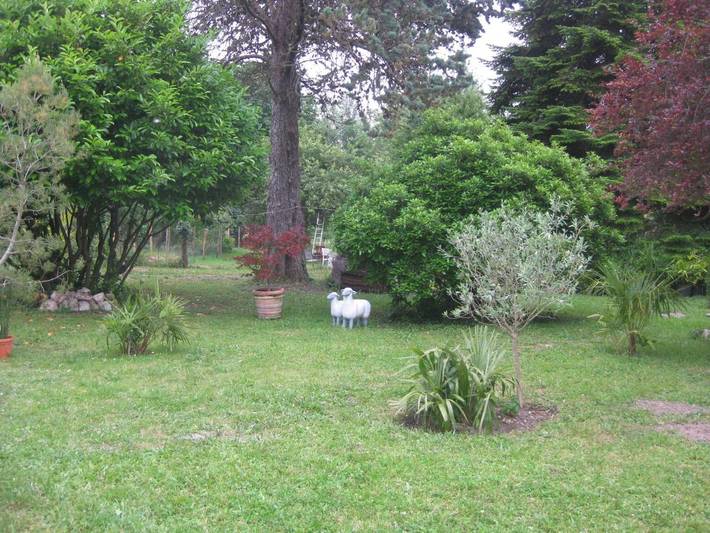 Location de vacances pour 4 personnes, avec jardin et jacuzzi dans Cléré-les-Pins - 3