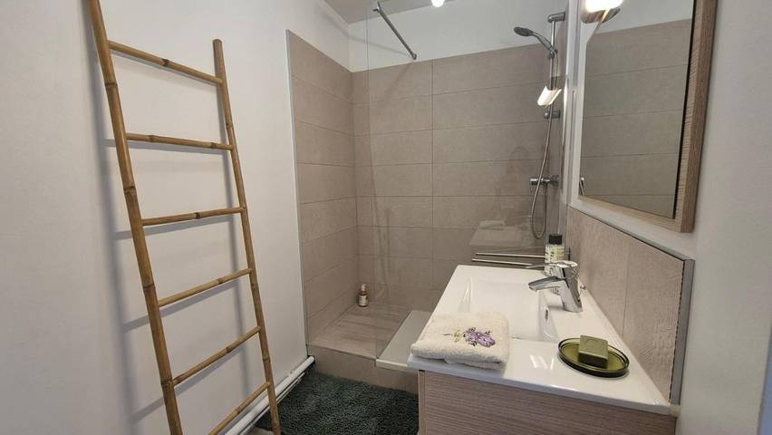 Gîte pour 4 personnes, avec balcon et vue à Mont-Saint-Aignan - 3