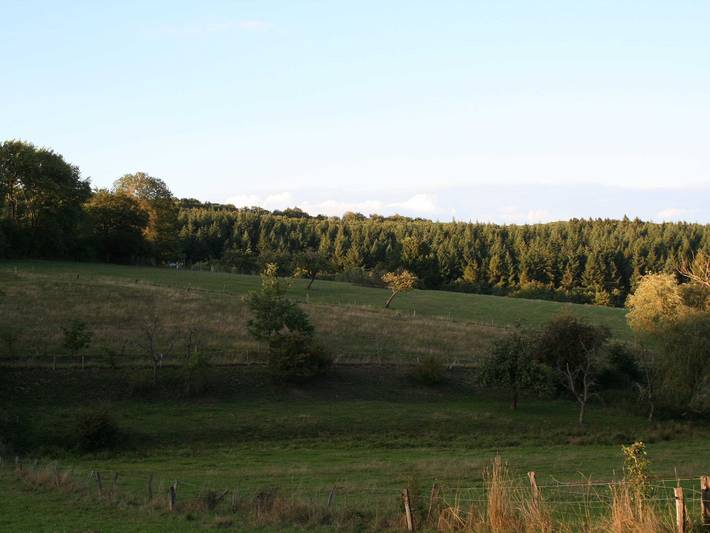 Ferienwohnung für 2 Personen, mit Garten am Taunus - 4