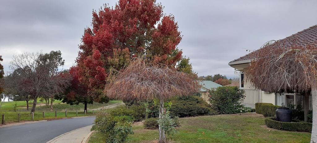 Sweet Holiday Home by the Golf Course in Canberra, Australian Capital Territory