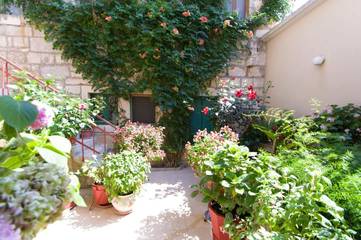 Maison d’hôte pour 2 personnes, avec terrasse en Korcula