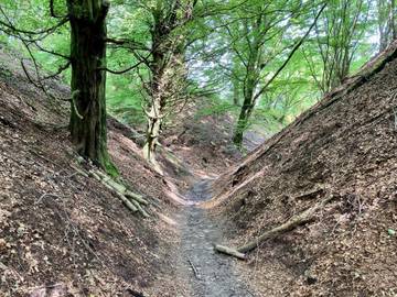 Ferienhaus für 16 Personen in Dänemark an der Nordsee, Bild 4
