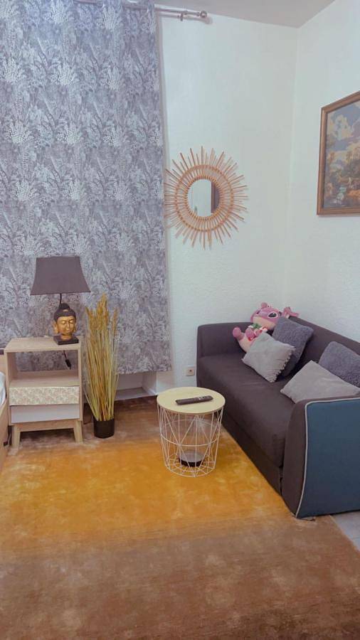 Gîte pour 3 personnes, avec jacuzzi à Pau - 2