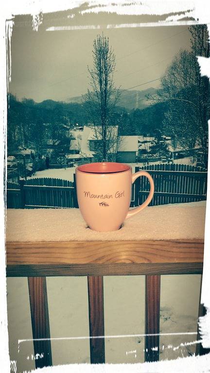 Log Cabin Ferienwohnung in Waynesville, Nc in Cataloochee Valley