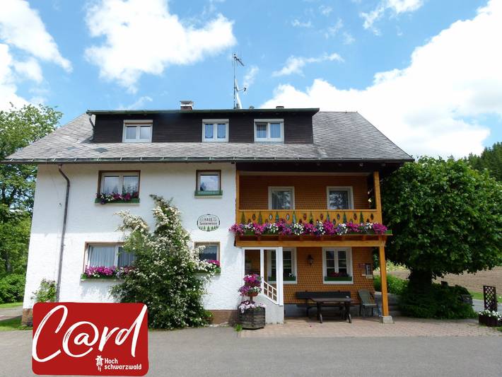 Pension voor 2 personen, met Tuin in Titisee