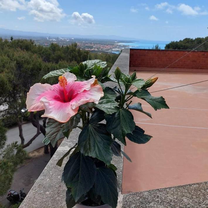 Ferienwohnung für 4 Personen, mit Ausblick und Garten - 1