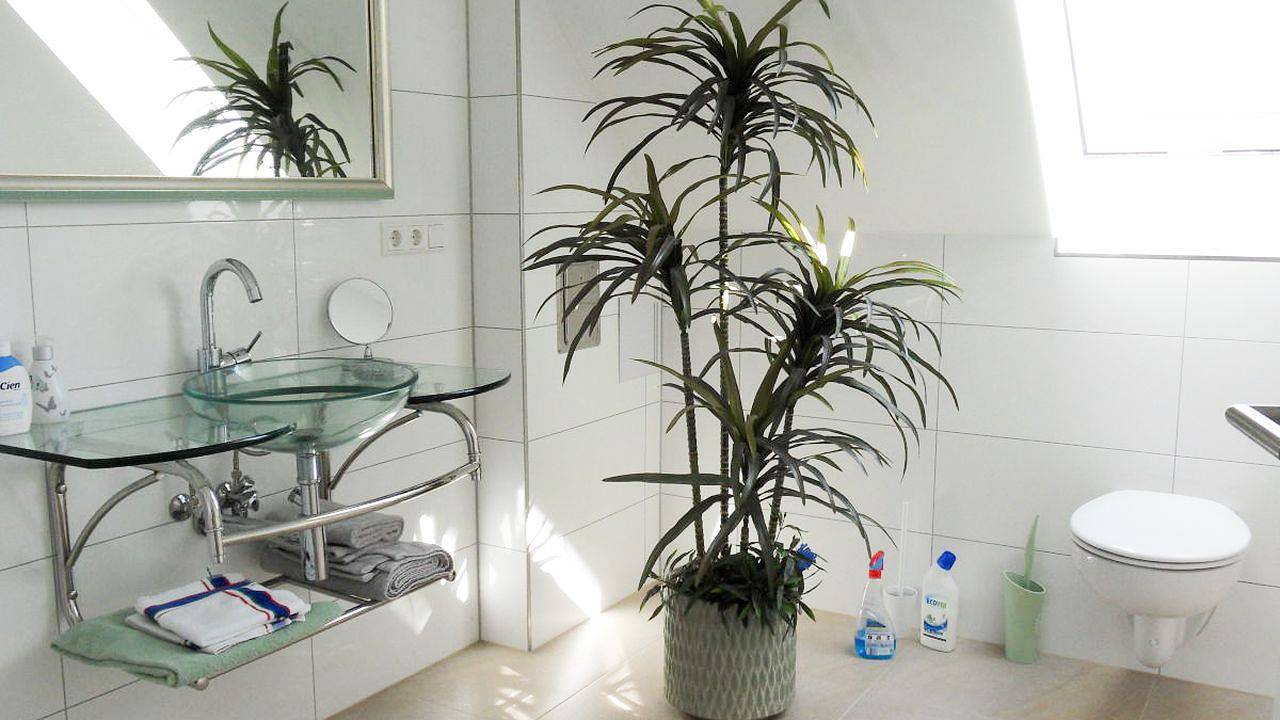 Apartamento vacacional entero, Ferienwohnung für 3 Personen (67 m²) in Tübingen in Tubinga, Neckar-Alb