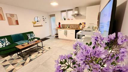 Gîte pour 3 personnes, avec terrasse, animaux acceptés à Wittenheim
