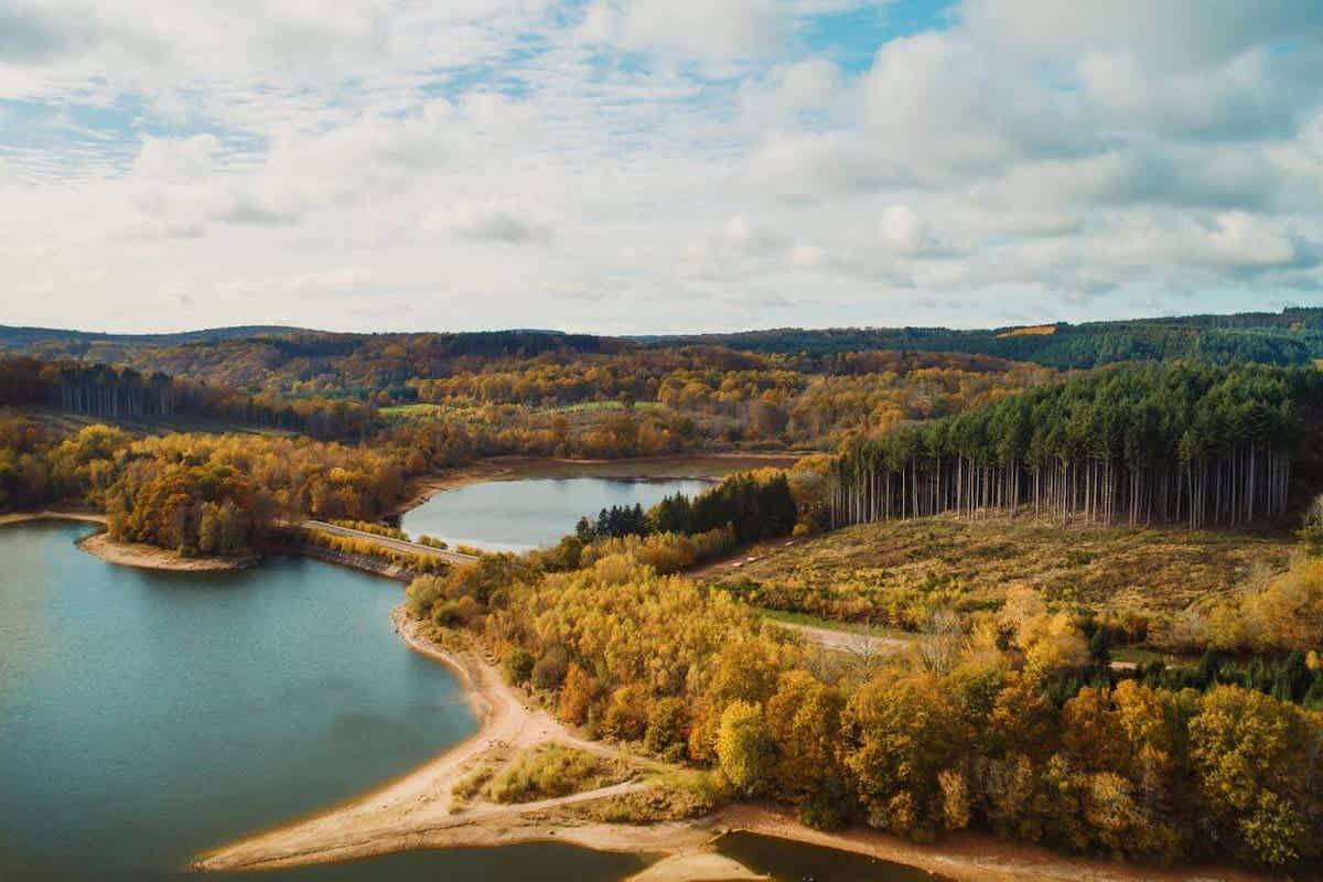 ※  Morvand'Ailes ※ Cocon champêtre en Morvan in Saulieu, Montbard und Umgebung