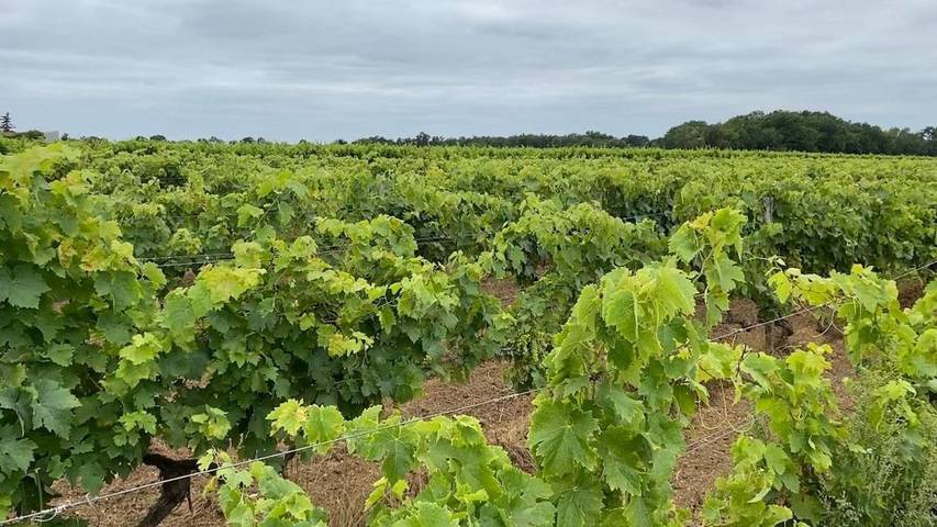 Location de vacances pour 12 personnes, avec piscine et terrasse à Haimps - 3