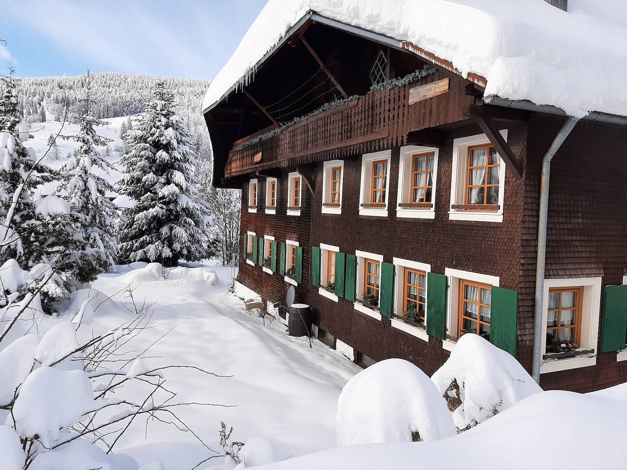 Ganze Wohnung, Apartment Bachrainhof 2 mit Bergblick, privatem Garten und Wlan in St. Blasien, Südschwarzwald