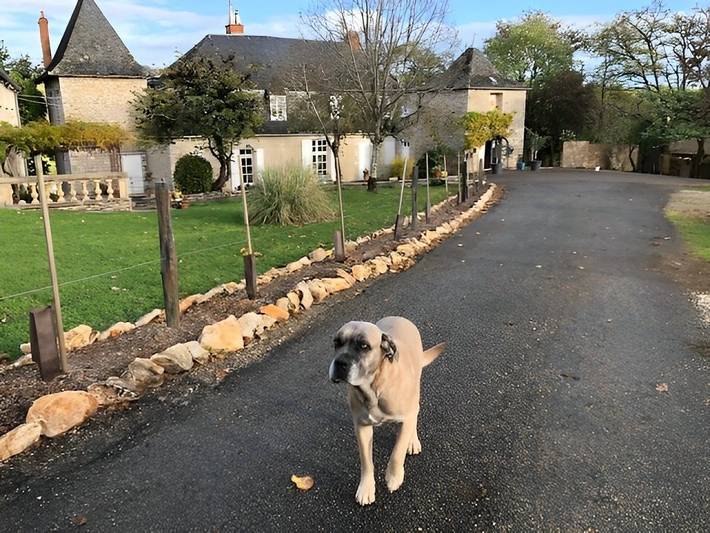 Gîte pour 4 personnes à Saint-Denis-lès-Martel - 4