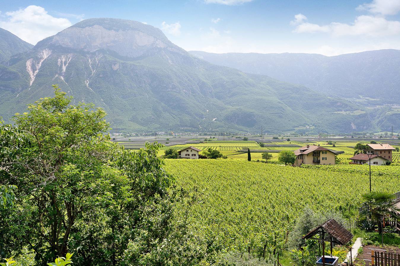 Appartamento intero, Appartamento "Haus Weinblick 5" con vista sulle montagne, giardino e Wi-Fi in Magrè Sulla Strada Del Vino, Alpi Della Val Di Non