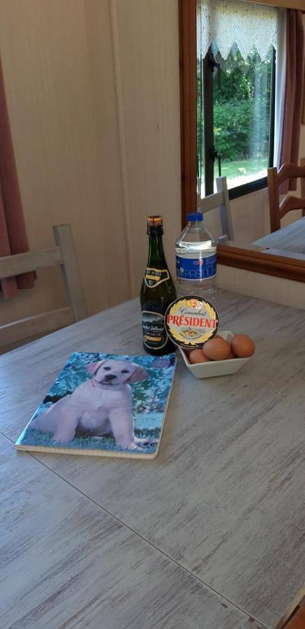 Gîte pour 4 personnes, avec terrasse et vue à Gouvets - 2