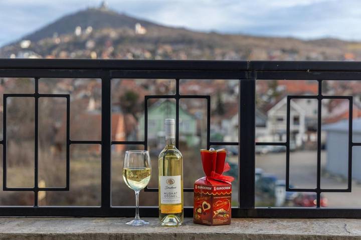 Hôtel pour 4 personnes, avec sauna et piscine ainsi que vue et jardin à Vršac - 3