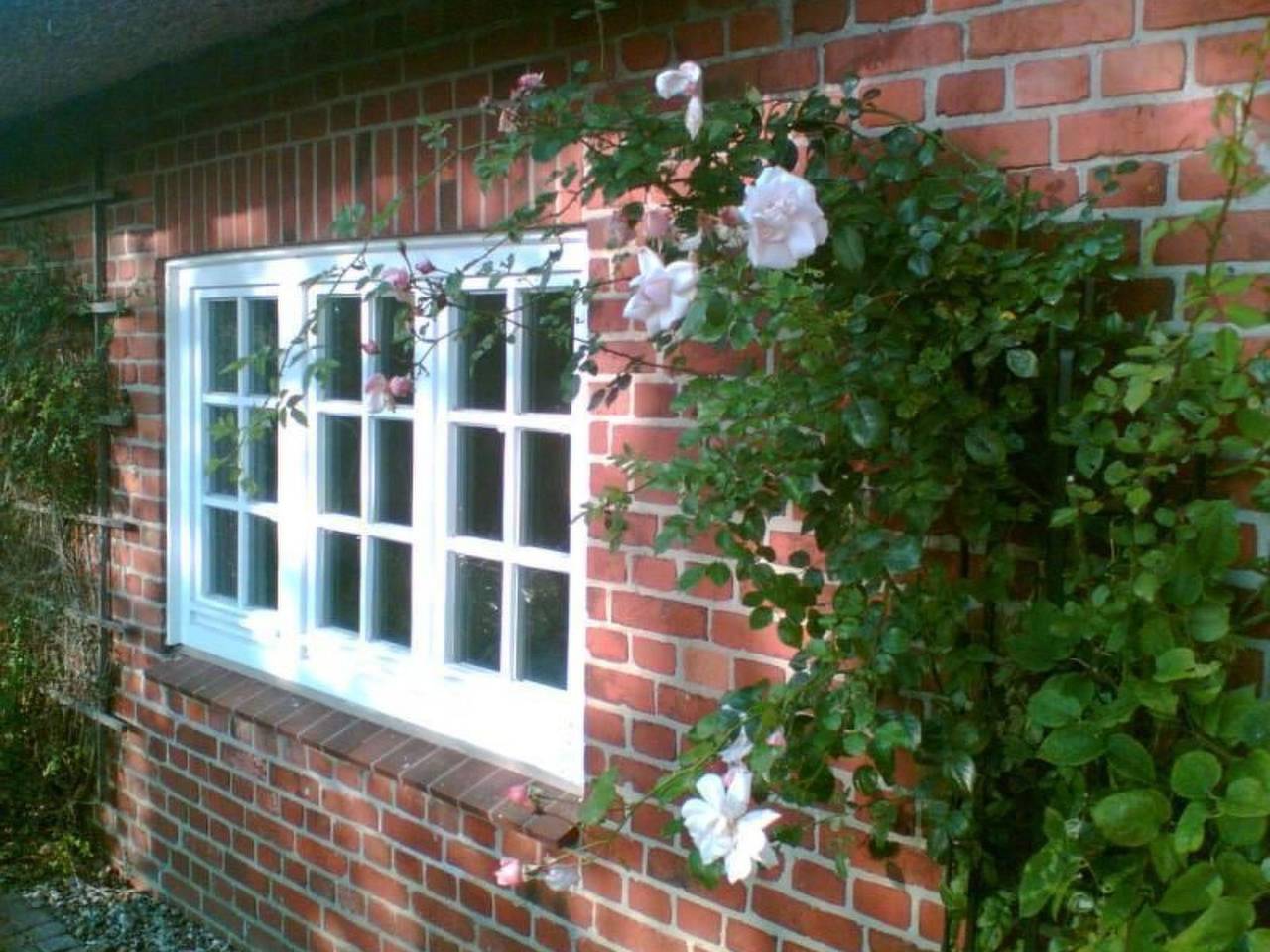 Finkenbusch in Riepsdorf, Ostholstein