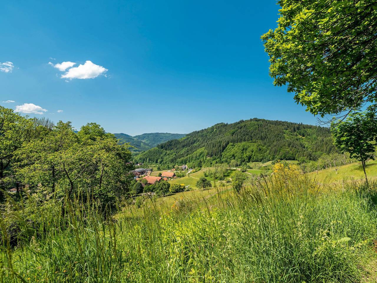 Ganze Ferienwohnung, Ferienwohnung Kuckuckslockennest - Ferienwohnung Kuckuckslockennest in Seebach, Mittlerer Schwarzwald