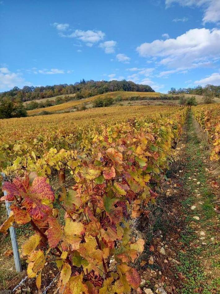 Gîte pour 5 personnes, avec terrasse à Givry - 3